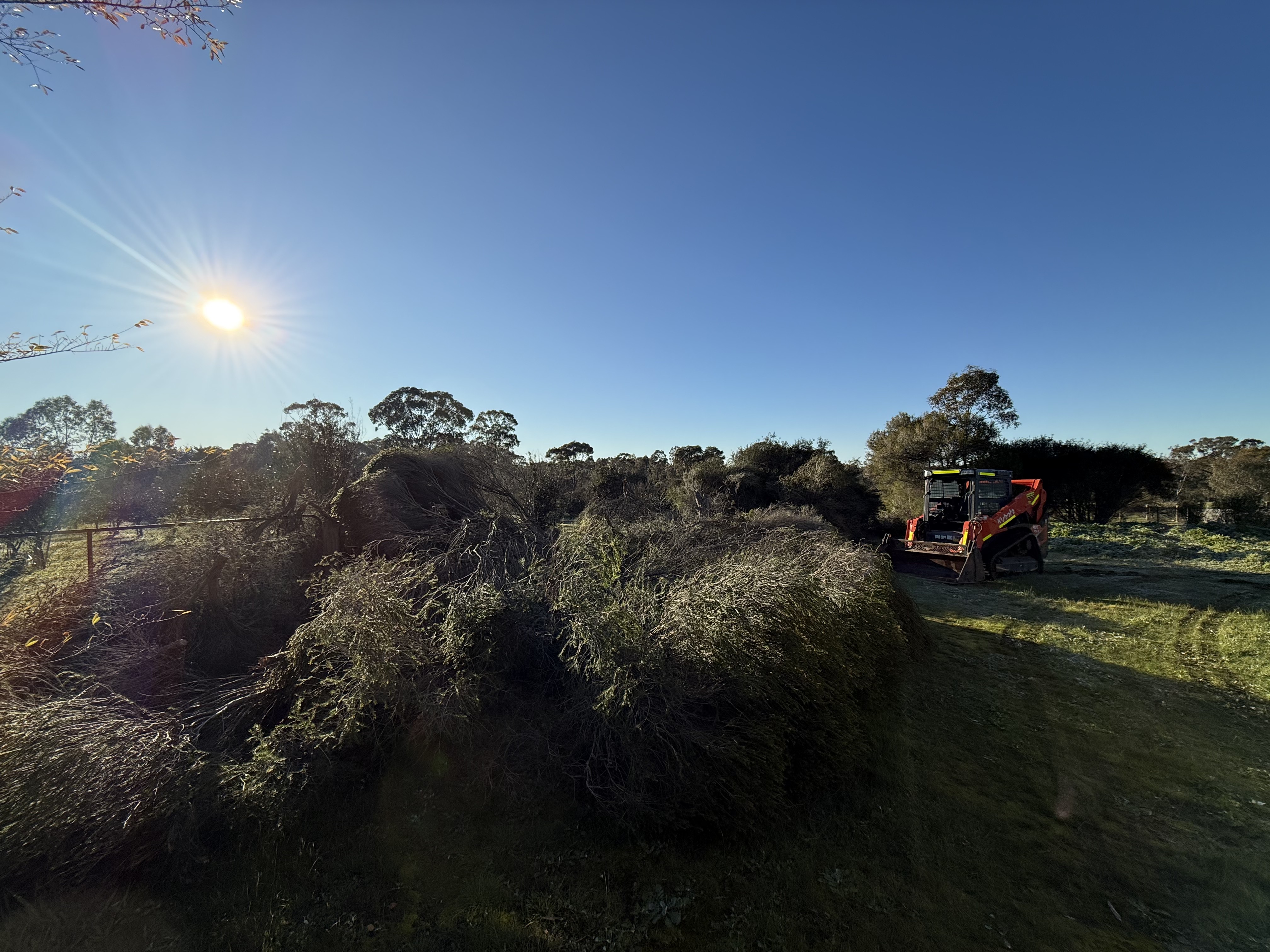 Skid steer stacking cleared scrub and tree piles on a rural property near Bendigo