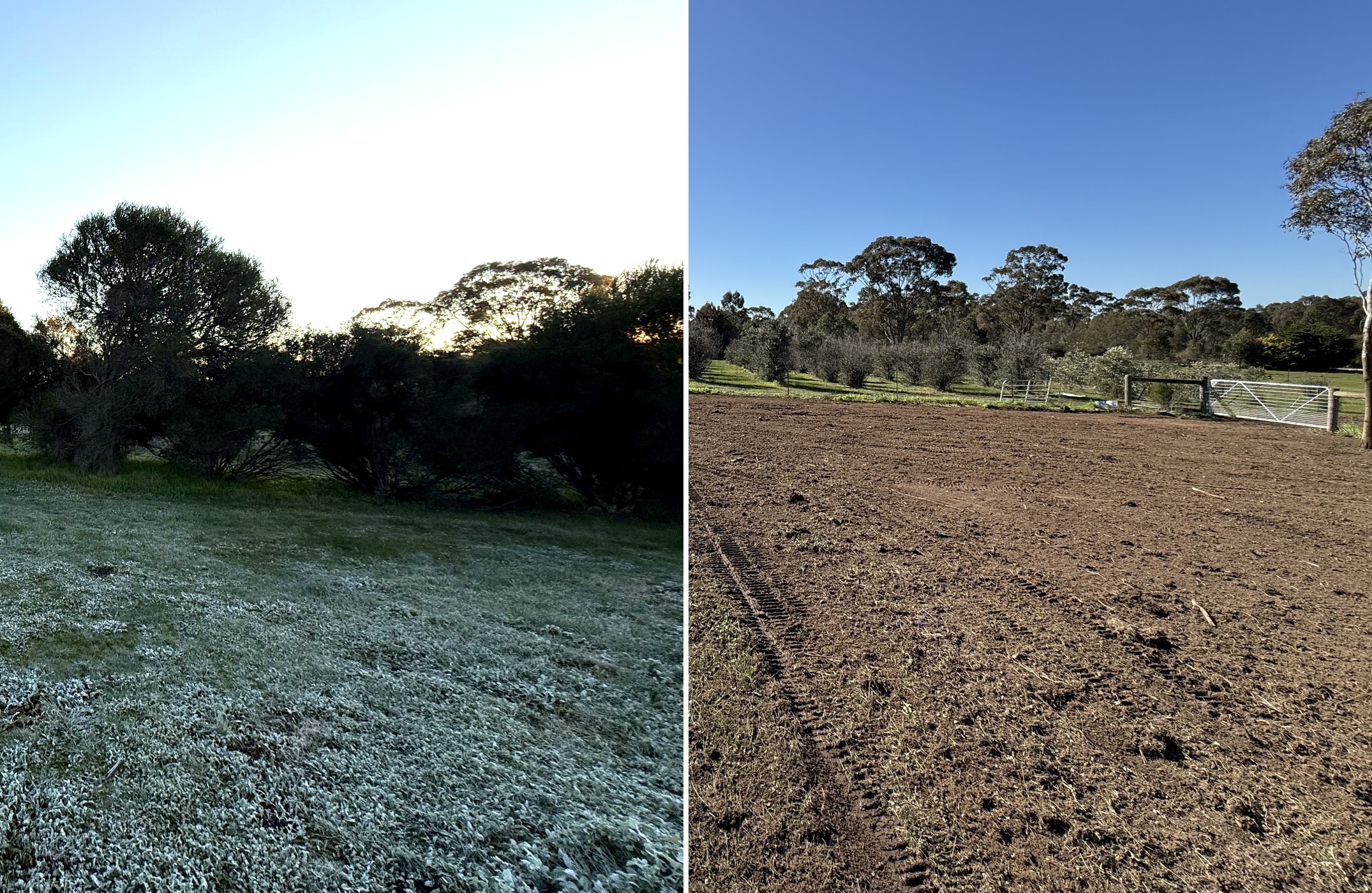 Asset Protection Zones & Fire Season Prep in Bendigo