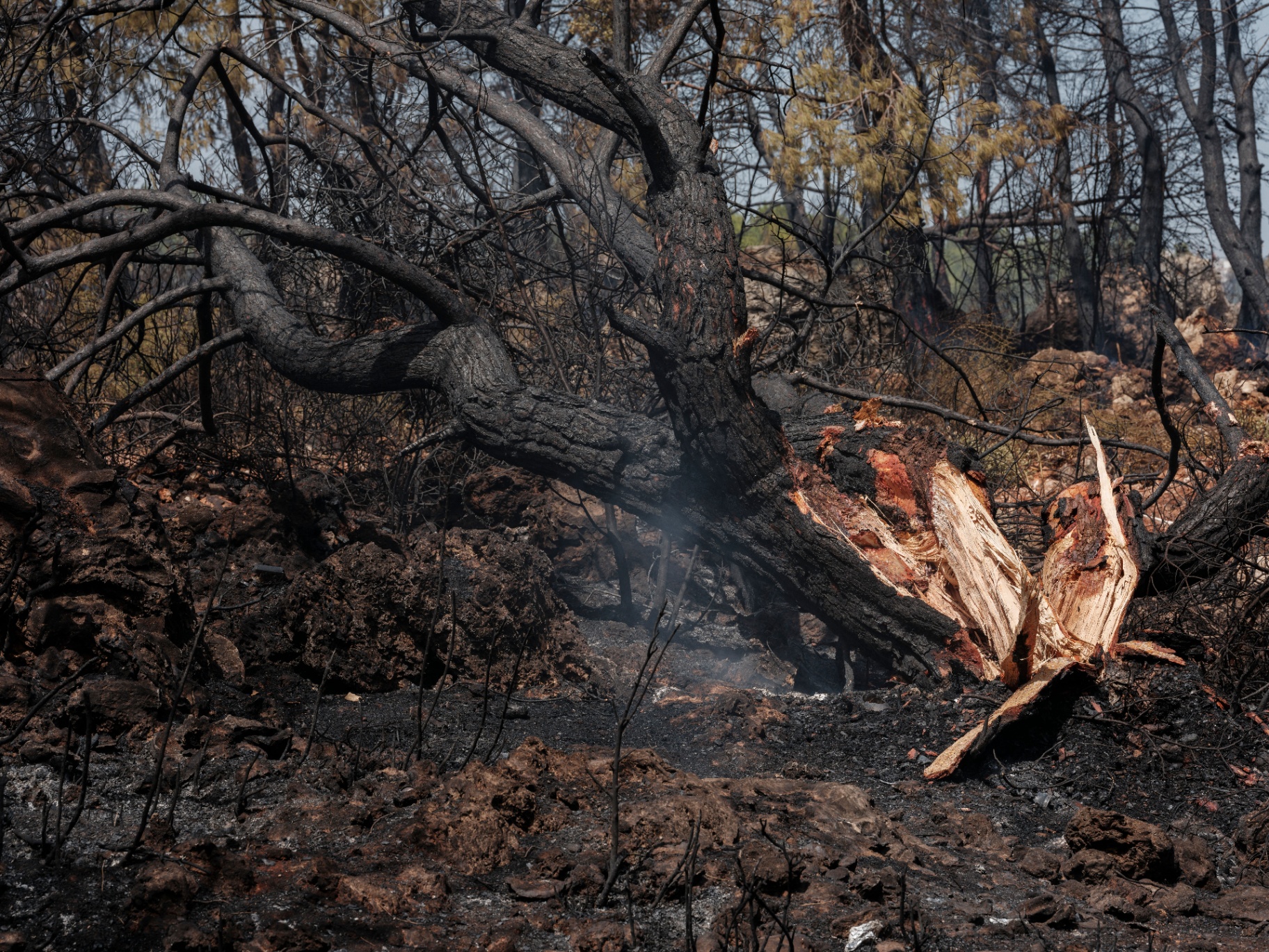 Storm, Fire & Flood Damage Cleanup in Bendigo